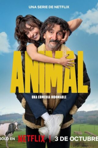 Animals arquitectes