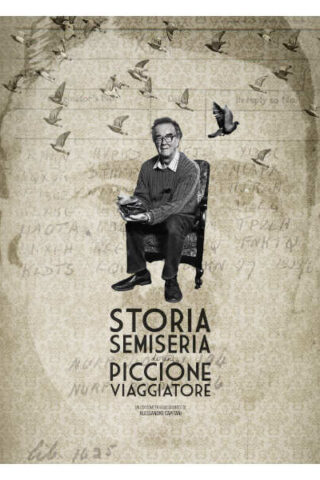 The Semi-Serious Tale Of Carrier Pigeon